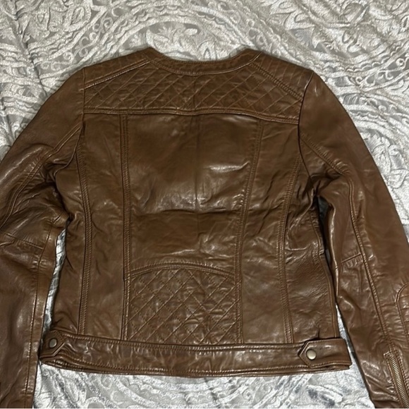 New Wilson Leather Brown Leather Jacket Medium Moto - Picture 5 of 15